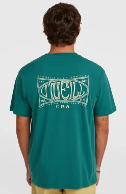 Homme O'Neill T-Shirts|Protection Anti-Uv-HommesT-shirt Box Logo| Vert