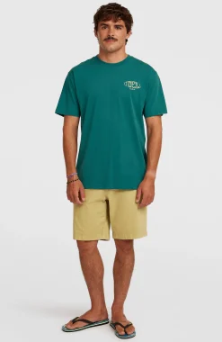 Homme O'Neill T-Shirts|Protection Anti-Uv-HommesT-shirt Box Logo| Vert