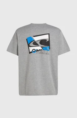 Homme O'Neill T-Shirts|Protection Anti-Uv-HommesT-shirt Essentials 90s Graphic| Gris