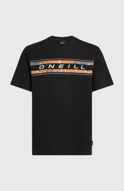 Homme O'Neill T-Shirts|Protection Anti-Uv-HommesT-shirt Front Graphic| Noire
