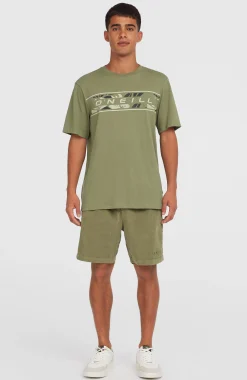 Homme O'Neill T-Shirts|Protection Anti-Uv-HommesT-shirt Front Graphic| Vert