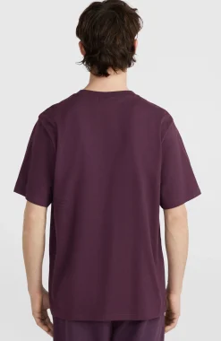 Homme O'Neill T-Shirts|Protection Anti-Uv-HommesT-shirt Future Surf Society| Violet