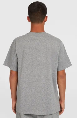 Homme O'Neill T-Shirts|Protection Anti-Uv-HommesT-shirt Future Surf Society| Gris