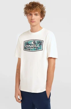 Homme O'Neill T-Shirts|Protection Anti-Uv-HommesT-shirt Graphic| Blanc