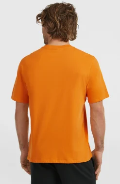 Homme O'Neill T-Shirts|Protection Anti-Uv-HommesT-shirt Graphic| Orange