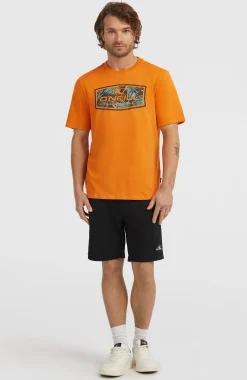 Homme O'Neill T-Shirts|Protection Anti-Uv-HommesT-shirt Graphic| Orange