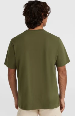 Homme O'Neill T-Shirts|Protection Anti-Uv-HommesT-shirt Ikat Stripe| Vert