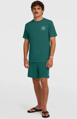 Homme O'Neill T-Shirts|Protection Anti-Uv-HommesT-shirt Melange Chest-Print| Vert