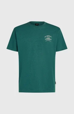 Homme O'Neill T-Shirts|Protection Anti-Uv-HommesT-shirt Melange Chest-Print| Vert