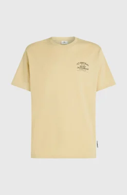 Homme O'Neill T-Shirts|Protection Anti-Uv-HommesT-shirt Melange Chest-Print| Beige
