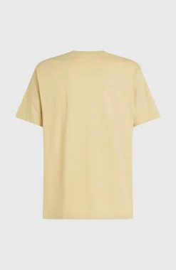 Homme O'Neill T-Shirts|Protection Anti-Uv-HommesT-shirt Melange Chest-Print| Beige