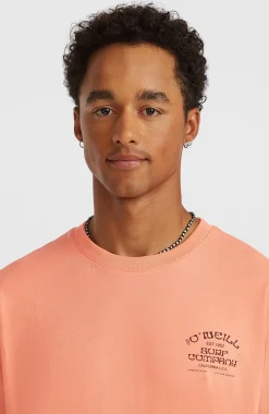 Homme O'Neill T-Shirts|Protection Anti-Uv-HommesT-shirt Melange Chest-Print| Orange