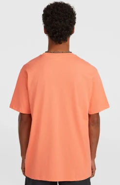 Homme O'Neill T-Shirts|Protection Anti-Uv-HommesT-shirt Melange Chest-Print| Orange