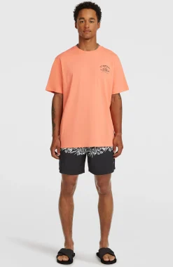 Homme O'Neill T-Shirts|Protection Anti-Uv-HommesT-shirt Melange Chest-Print| Orange