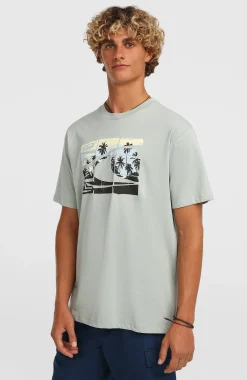 Homme O'Neill T-Shirts|Protection Anti-Uv-HommesT-shirt Gradient| Vert