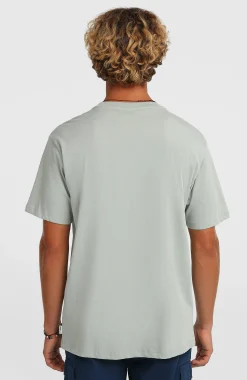 Homme O'Neill T-Shirts|Protection Anti-Uv-HommesT-shirt Gradient| Vert