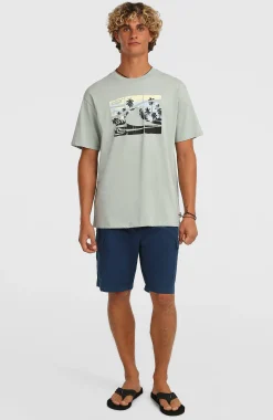 Homme O'Neill T-Shirts|Protection Anti-Uv-HommesT-shirt Gradient| Vert