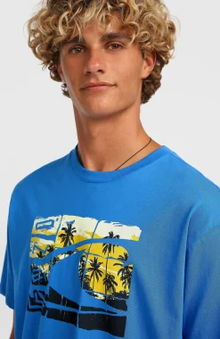 Homme O'Neill T-Shirts|Protection Anti-Uv-HommesT-shirt Gradient| Bleu