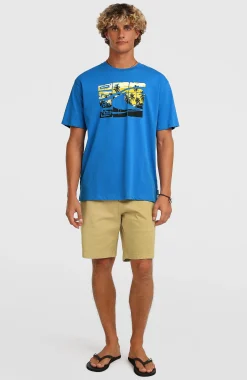 Homme O'Neill T-Shirts|Protection Anti-Uv-HommesT-shirt Gradient| Bleu
