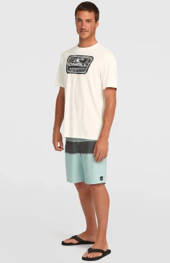 Homme O'Neill T-Shirts|Protection Anti-Uv-HommesT-shirt Graphic| Blanc