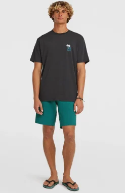 Homme O'Neill T-Shirts|Protection Anti-Uv-HommesT-shirt Hybrid Polygiene Graphic| Noire