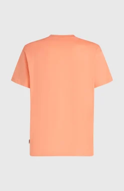 Homme O'Neill T-Shirts|Protection Anti-Uv-HommesT-shirt Logo Stripe| Orange