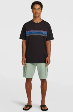 Homme O'Neill T-Shirts|Protection Anti-Uv-HommesT-shirt Logo Stripe| Noire