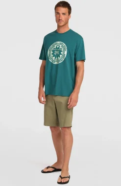 Homme O'Neill T-Shirts|Protection Anti-Uv-HommesT-shirt Must-Have Graphic| Vert