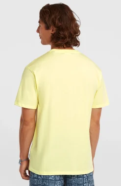 Homme O'Neill T-Shirts|Protection Anti-Uv-HommesT-shirt Must-Have Graphic| Jaune