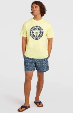 Homme O'Neill T-Shirts|Protection Anti-Uv-HommesT-shirt Must-Have Graphic| Jaune