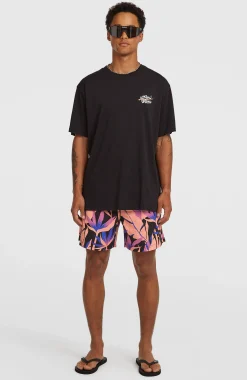 Homme O'Neill T-Shirts|Protection Anti-Uv-HommesT-shirt Retro Back-Print| Noire