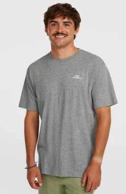 Homme O'Neill T-Shirts|Protection Anti-Uv-HommesT-shirt Small Logo| Gris