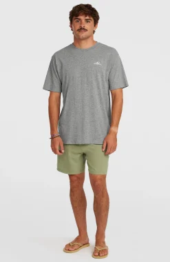 Homme O'Neill T-Shirts|Protection Anti-Uv-HommesT-shirt Small Logo| Gris
