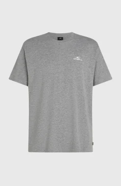 Homme O'Neill T-Shirts|Protection Anti-Uv-HommesT-shirt Small Logo| Gris