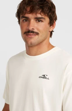 Homme O'Neill T-Shirts|Protection Anti-Uv-HommesT-shirt Small Logo| Blanc
