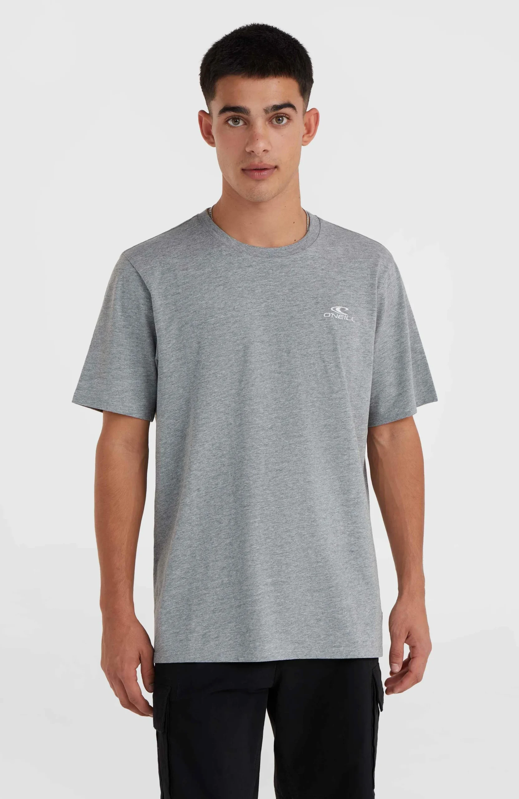 Homme O'Neill T-Shirts|Protection Anti-Uv-HommesT-shirt Small Logo| Gris