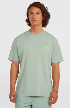 Homme O'Neill T-Shirts|Protection Anti-Uv-HommesT-shirt Small Logo| Vert
