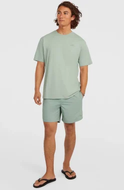 Homme O'Neill T-Shirts|Protection Anti-Uv-HommesT-shirt Small Logo| Vert