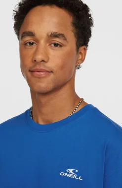 Homme O'Neill T-Shirts|Protection Anti-Uv-HommesT-shirt Small Logo| Bleu