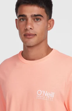 Homme O'Neill T-Shirts|Protection Anti-Uv-HommesT-shirt Original Cali Logo| Rose