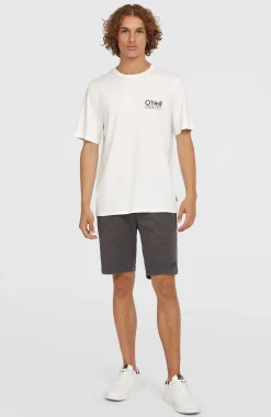 Homme O'Neill T-Shirts|Protection Anti-Uv-HommesT-shirt Original Cali Logo| Blanc