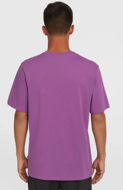 Homme O'Neill T-Shirts|Protection Anti-Uv-HommesT-shirt Original Cali Logo| Violet