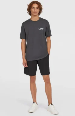 Homme O'Neill T-Shirts|Protection Anti-Uv-HommesT-shirt Original Cali Logo| Gris