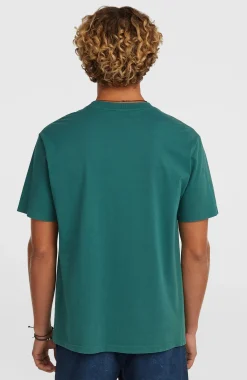 Homme O'Neill T-Shirts|Protection Anti-Uv-HommesT-shirt O'Riginals Front-Stripe| Vert