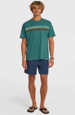 Homme O'Neill T-Shirts|Protection Anti-Uv-HommesT-shirt O'Riginals Front-Stripe| Vert