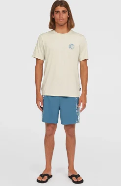 Homme O'Neill T-Shirts|Protection Anti-Uv-HommesT-shirt O'Riginals Hybrid| Beige