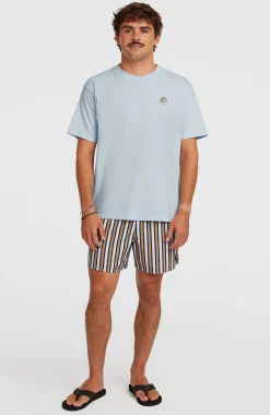 Homme O'Neill T-Shirts|Protection Anti-Uv-HommesT-shirt O'Riginals Vintage Graphic| Bleu