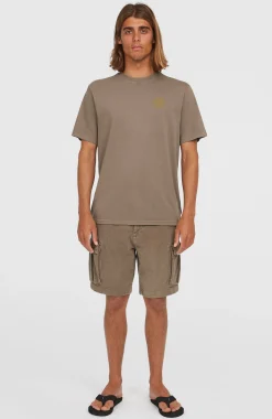 Homme O'Neill T-Shirts|Protection Anti-Uv-HommesT-shirt O'Riginals Vintage Graphic| Brun