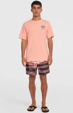 Homme O'Neill T-Shirts|Protection Anti-Uv-HommesT-shirt Retro Graphic| Rose