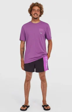 Homme O'Neill T-Shirts|Protection Anti-Uv-HommesT-shirt Retro Graphic| Violet